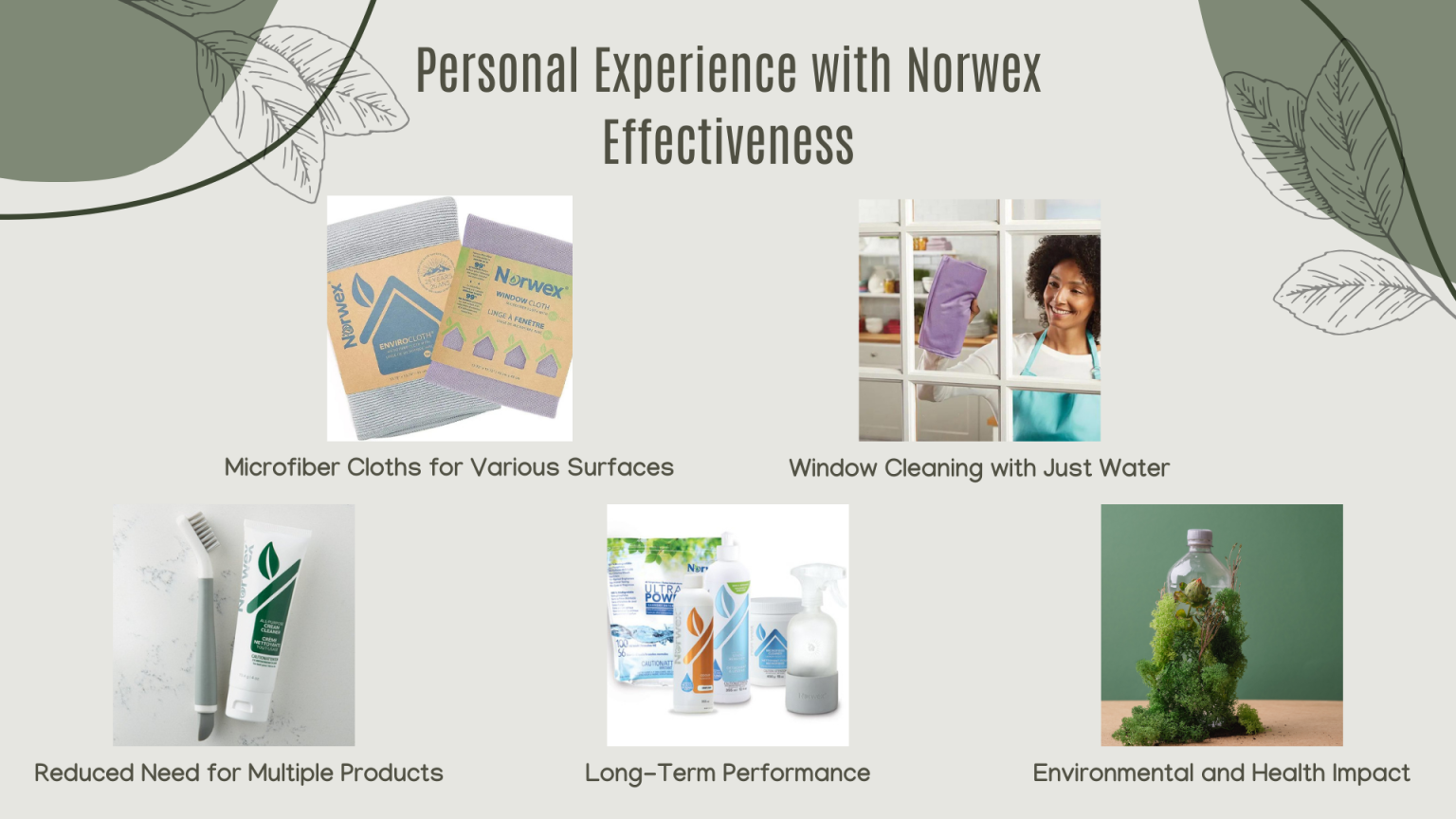 Why I Quit Norwex: Debunking the Myths